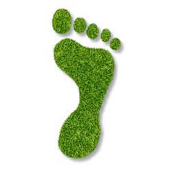 Carbon footprint